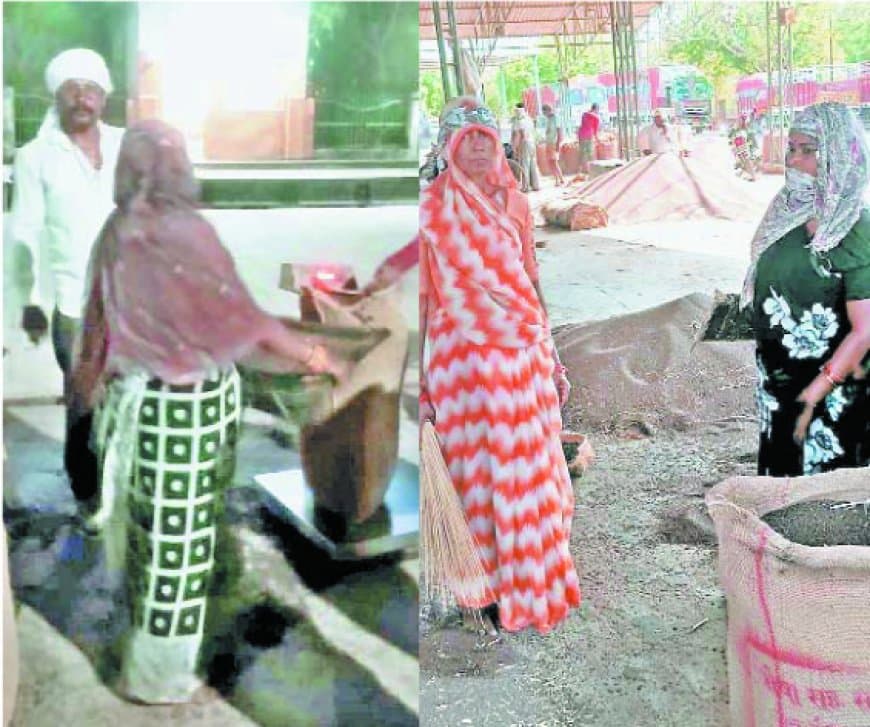 सतना मंडी में महिला हम्माल पर सवाल, लाइसेंस और नियमों पर उठे प्रश्न