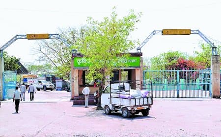 सतना मंडी में एमएसपी से ज्यादा दाम पर बिका गेहूं, किसानों को फायदा