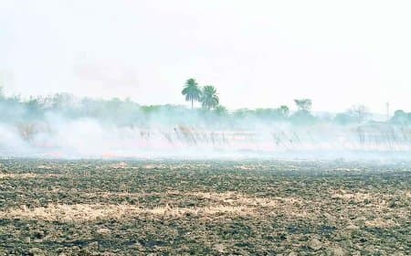 रीवा संभाग में नरवाई जलाने के रिकॉर्ड केस, हवा खराब, प्रशासनिक सख्ती नाकाम साबित