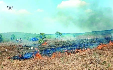 अब जंगल में लगी आग बुझाएगा ड्रोन, पन्ना में पहली बार एरियल फायर फाइटिंग का ट्रायल