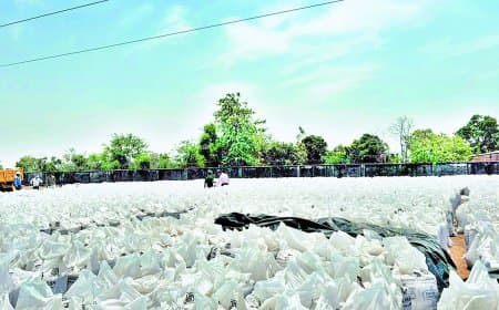 गेहूं उठाव में भारी लापरवाही, परिवहन ठेकेदार पर लाखों की पेनल्टी कार्रवाई हुई