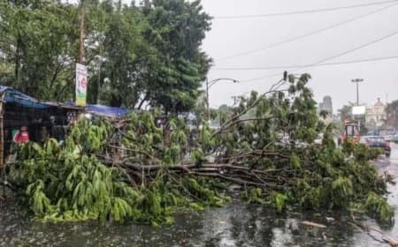यूपी-बिहार में टूटा मौसम का कहर... आंधी-बारिश से 48 लोगों की मौत...पंजाब-मध्य प्रदेश में गिरे ओले