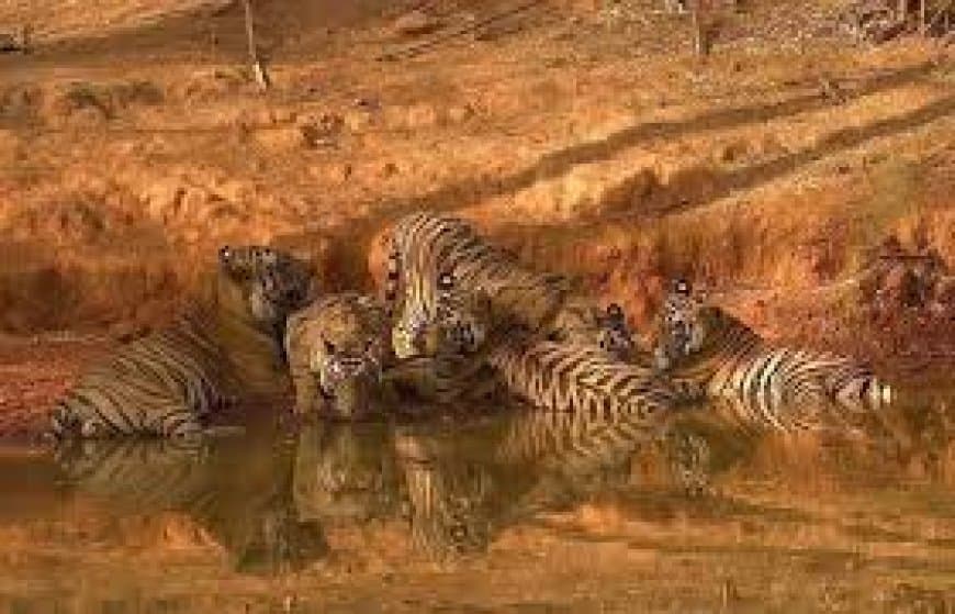 फाइल फोटो
