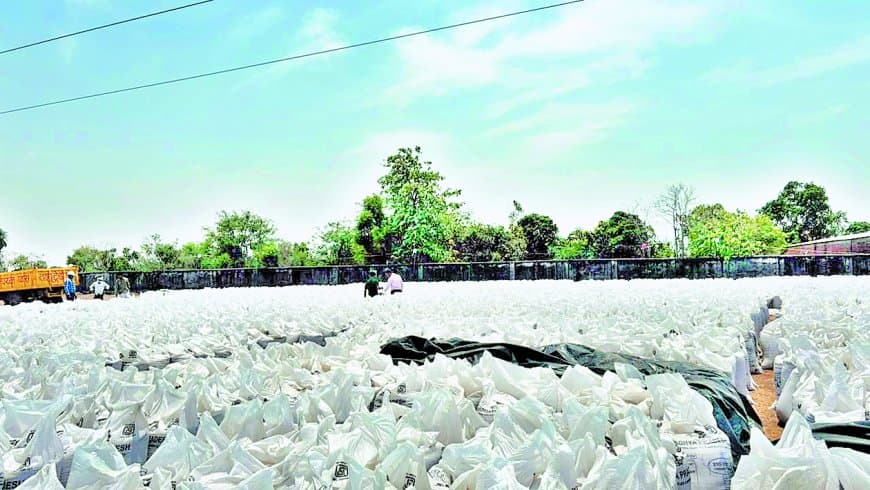 गेहूं उठाव में भारी लापरवाही, परिवहन ठेकेदार पर लाखों की पेनल्टी कार्रवाई हुई