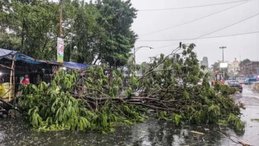 यूपी-बिहार में टूटा मौसम का कहर... आंधी-बारिश से 48 लोगों की मौत...पंजाब-मध्य प्रदेश में गिरे ओले