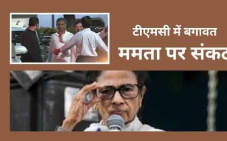 TMC Rebel Crisis: 58 विधायकों की बगावत, ऋतब्रत बनर्जी बने बागी गुट के नेता; ममता बनर्जी ने भंग कीं कमेटियां