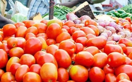 मध्यप्रदेश में महंगाई की मार: टमाटर हुआ और लाल... गिलकी-लौकी-पालक भी थाली से होने लगी गायब