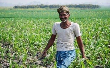 मध्यप्रदेश की बड़ी उपलब्धि: एक साथ 12 उद्यानिकी फसलों को मिला GI टैग