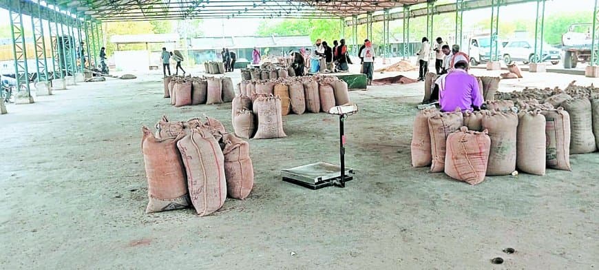 मंडी की तुलाई पर उठे सवाल, किसान बोले वजन में दिख रहा अंतर