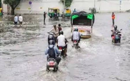 मध्य प्रदेश में मानसून का असर: पूरे राज्य में झमाझम बारिश, कई जिलों में बाढ़ के हालात