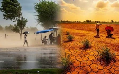 मध्यप्रदेश: दो दर्जन जिलों पर सूखे का खतरा... अफसरों को हालात की रोजाना समीक्षा करने के निर्देश 