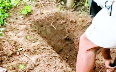 तीन माह बाद कब्र से मिला युवक का शव, हत्या के आरोप में प्रेमी गिरफ्तार पुलिस