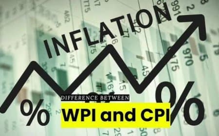 थोक मूल्य सूचकांक की जगह आएगा उत्पादक मूल्य सूचकांक, जानिए WPI और PPI में क्या है फर्क