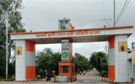 मध्यप्रदेश: मंडियों में अब 30 साल का मिलेगा लाइसेंस, 10 फीसदी हर साल बढ़ेगी लाइसेंस फीस 