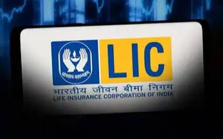 LIC OFS Success: सरकार ने बेचे शेयर, एलआईसी में सार्वजनिक हिस्सेदारी बढ़कर 10% हुई
