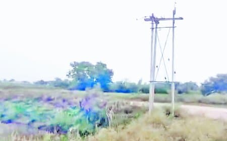 सतना में 31 खंभों की ढाई किमी बिजली लाइन से तार चोरी, 200 उपभोक्ता संकट में