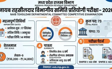 MP Nayab Tehsildar Recruitment 2026: नायब तहसीलदार के 73 पदों पर विभागीय भर्ती, 17 सितंबर से करें आवेदन