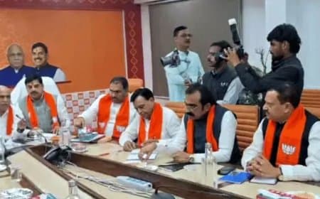 नए बीजेपी प्रभारी की क्लास... बताया अपने काम करने का तरीका, जानिए संगठन कैसे करेगा काम