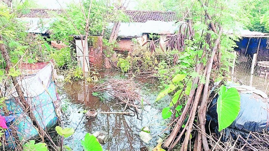 सतना में सामान्य से 61 फीसदी ज्यादा बारिश, उचेहरा में तालाब फूटा, दर्जनों परिवार हुए बेघर
