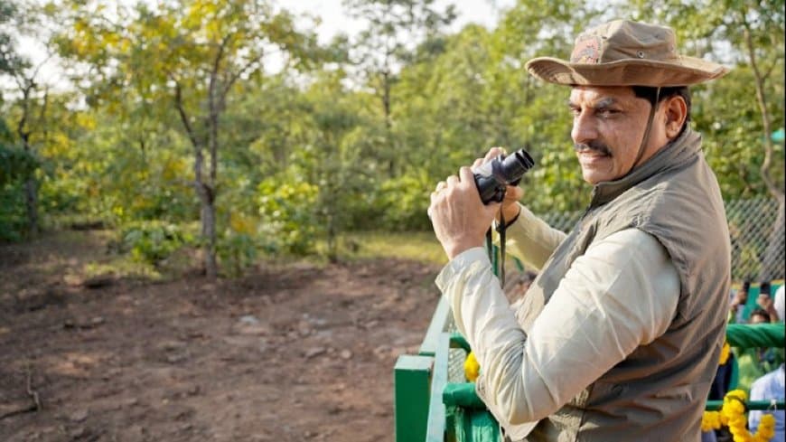 वीरांगना दुर्गावती टाइगर रिजर्व बना मध्य प्रदेश में चीतों का तीसरा नया ठिकाना, कूनो से लाए गए दो चीतों को छोड़ा गया