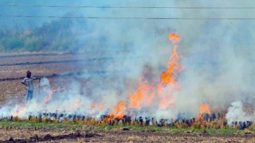 केंद्र का सख्त रुख: मध्य प्रदेश समेत पांच राज्यों को पराली जलाने पर रोक लगाने के निर्देश, मिशन मोड में करें काम 