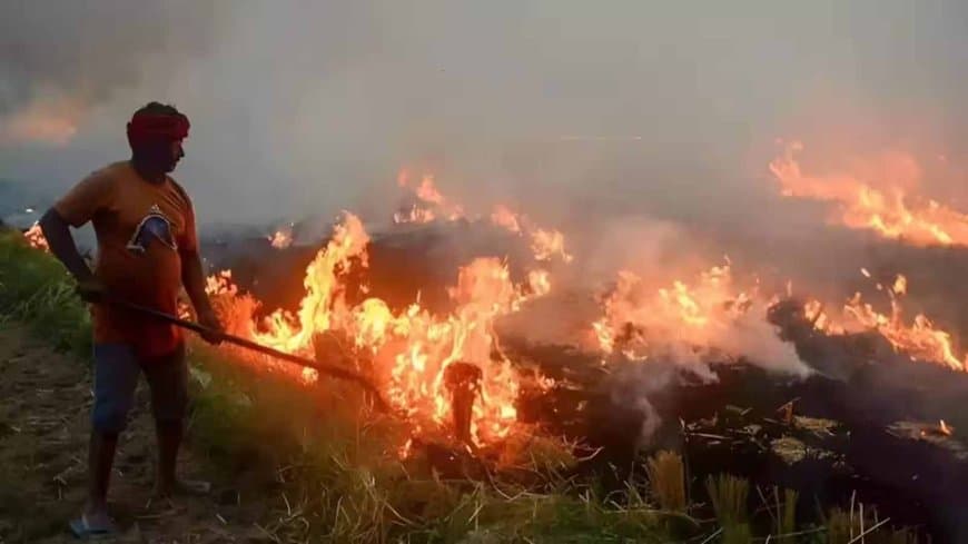 सावधान! पराली जलाने में देश में सबसे आगे मध्यप्रदेश, प्रदूषण से बढ़ रहा फेफड़ों और श्वसन स्वास्थ्य पर खतरा