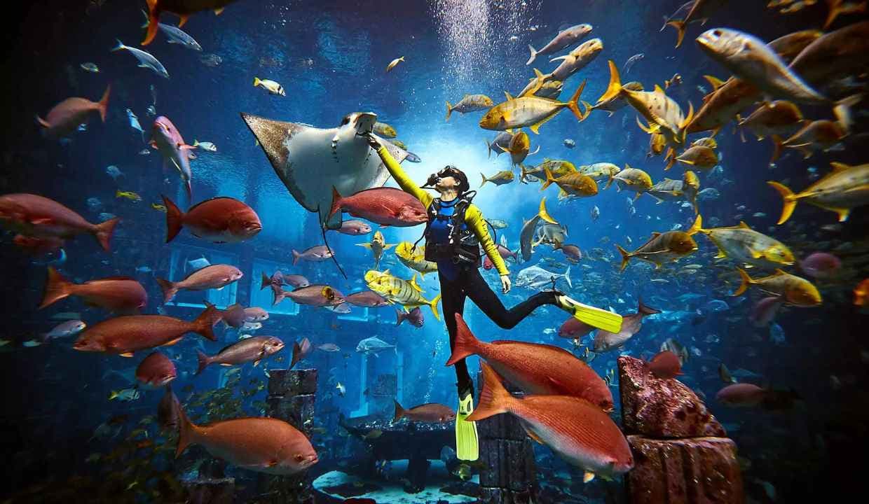 Explore the 10 Best Places to Visit in Dubai