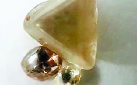 गरीबी से जूझ रही आदिवासी महिला की किस्मत बदली, पन्ना की धरती से एक साथ मिले तीन कीमती हीरे