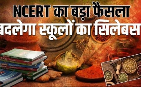 एनसीईआरटी... अब कक्षा 6-8 के बच्चे पढ़ेंगे आयुर्वेद का पाठ
