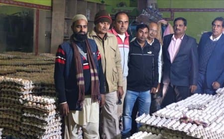 उत्तर प्रदेश... जानलेवा रंग चढ़ाकर बनाया जा रहा था देसी अंडा