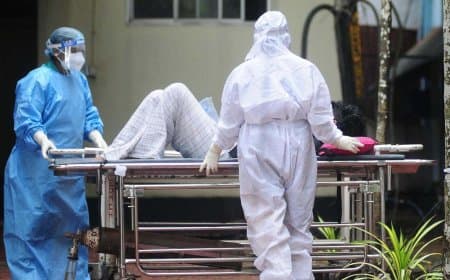 डरने की जरूरत नहीं! भारत में निपाह वायरस के दो संक्रमित मिले