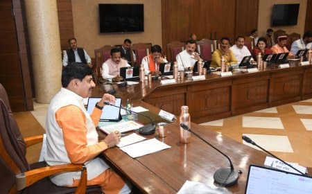 कैबिनेट का फैसला: उड़द पर 600 रुपए क्विंटल बोनस देगी मोहन सरकार