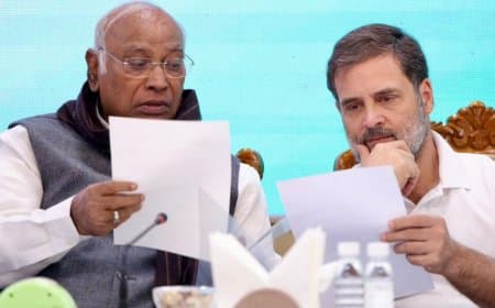 राज्यसभा: कांग्रेस ने सिंघवी और फूलो देवी समेत छह दिग्गजों पर लगाया दांव