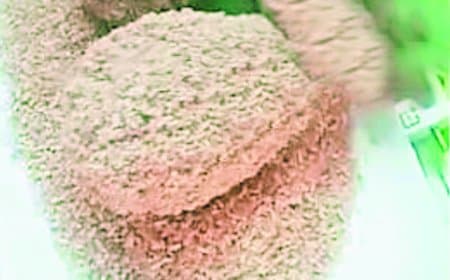 खराब चावल सप्लाई पर सवाल, जिम्मेदारों से पूछा खर्च कौन वहन करेगा