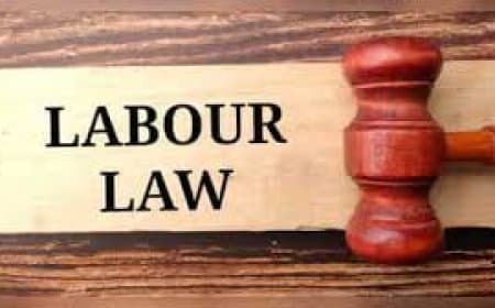 न्यू लेबर कोड 2026: अब आपकी बची हुई छुट्टियां नहीं होंगी बेकार, साल के अंत में मिलेगा नकद पैसा! न्यू लेबर कोड 2026: अब आपकी बची हुई छुट्टियां नहीं होंगी बेकार, साल के अंत में मिलेगा नकद पैसा!