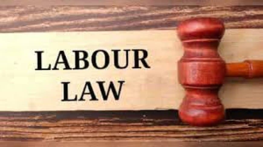 न्यू लेबर कोड 2026: अब आपकी बची हुई छुट्टियां नहीं होंगी बेकार, साल के अंत में मिलेगा नकद पैसा! न्यू लेबर कोड 2026: अब आपकी बची हुई छुट्टियां नहीं होंगी बेकार, साल के अंत में मिलेगा नकद पैसा!