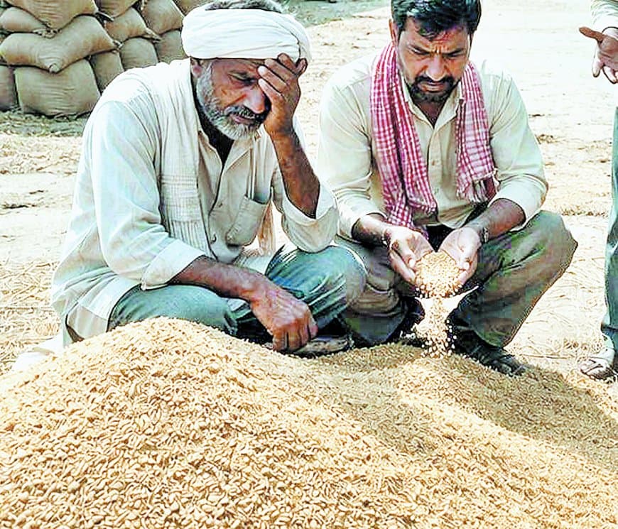 कागजों में 77 केंद्र, ऑनलाइन केवल 28, गेहूं खरीदी व्यवस्था पूरी तरह फेल कागजों में 77 केंद्र, ऑनलाइन केवल 28, गेहूं खरीदी व्यवस्था पूरी तरह फेल