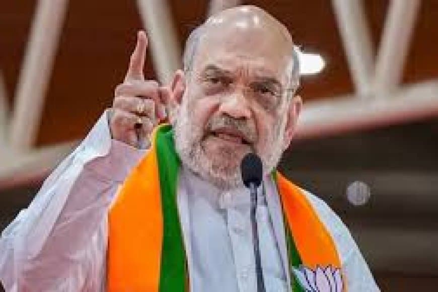 High Level Committee on Demographic Change: अमित शाह ने किया कमेटी का गठन, घुसपैठ और जनसंख्या असंतुलन पर कड़ा प्रहार