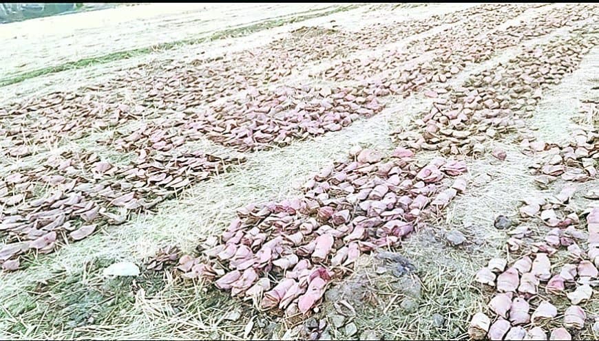 रौंड तेंदूपत्ता फड़ विवाद से दर्जनों मजदूरों के सामने रोजी-रोटी संकट रौंड तेंदूपत्ता फड़ विवाद से दर्जनों मजदूरों के सामने रोजी-रोटी संकट