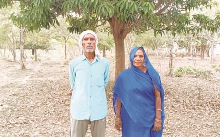 निसंतान दंपती ने बंजर जमीन पर उगाया दस हजार वृक्षों का वन निसंतान दंपती ने बंजर जमीन पर उगाया दस हजार वृक्षों का वन