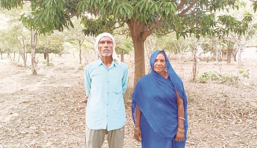 निसंतान दंपती ने बंजर जमीन पर उगाया दस हजार वृक्षों का वन निसंतान दंपती ने बंजर जमीन पर उगाया दस हजार वृक्षों का वन