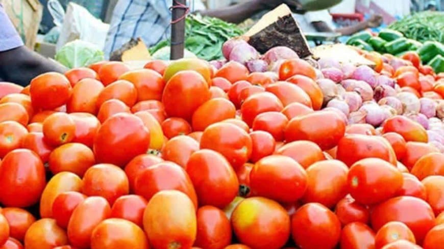 मध्यप्रदेश में महंगाई की मार: टमाटर हुआ और लाल... गिलकी-लौकी-पालक भी थाली से होने लगी गायब मध्यप्रदेश में महंगाई की मार: टमाटर हुआ और लाल... गिलकी-लौकी-पालक भी थाली से होने लगी गायब