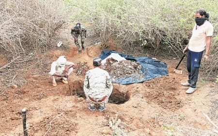 सरभंगा जंगल में करंट से बाघ मौत का दो महीने पुराना राज उजागर, जांच तेज