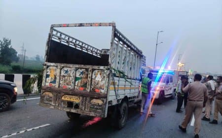 यूपी: पिकअप की टक्कर से पलटा ट्रैक्टर... दो की मौत यूपी: पिकअप की टक्कर से पलटा ट्रैक्टर... दो की मौत