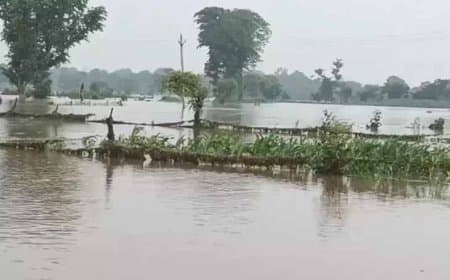 एमपी के शिवपुरी में उफान पर नदियां, गांवों में घुसा पानी... देश के कई राज्यों में भी आफत की बारिश