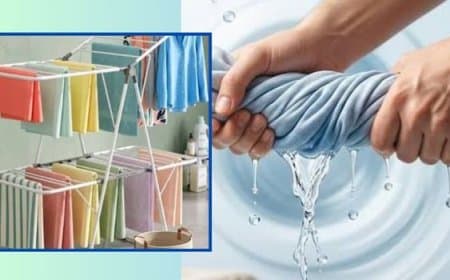 बारिश में बिना धूप के भी झटपट सूखेंगे कपड़े: अपनाएं ये आसान और असरदार तरीके बारिश में बिना धूप के भी झटपट सूखेंगे कपड़े: अपनाएं ये आसान और असरदार तरीके