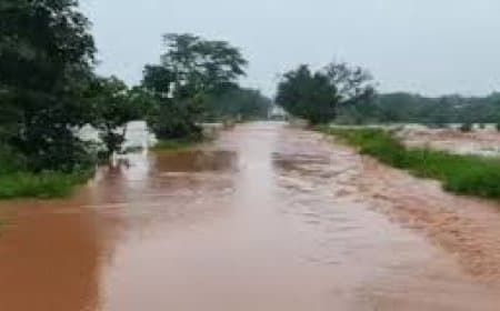 मध्यप्रदेश में मूसलाधार बारिश से बाढ़: चित्रकूट में मंदाकिनी उफान पर, सतना-पन्ना में हालात गंभीर और ट्रेनें प्रभावित मध्यप्रदेश में मूसलाधार बारिश से बाढ़: चित्रकूट में मंदाकिनी उफान पर, सतना-पन्ना में हालात गंभीर और ट्रेनें प्रभावित