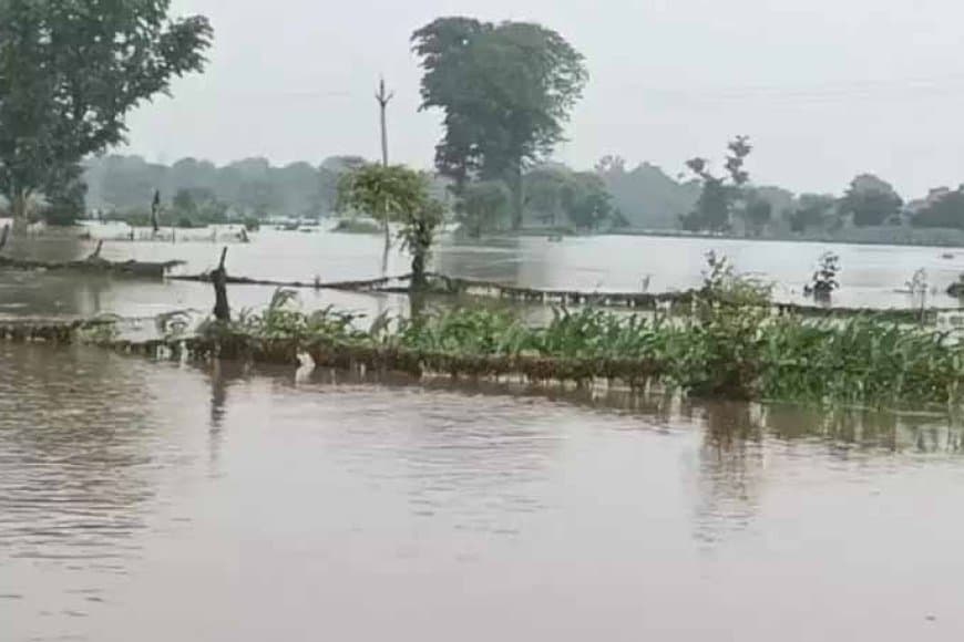 एमपी के शिवपुरी में उफान पर नदियां, गांवों में घुसा पानी... देश के कई राज्यों में भी आफत की बारिश