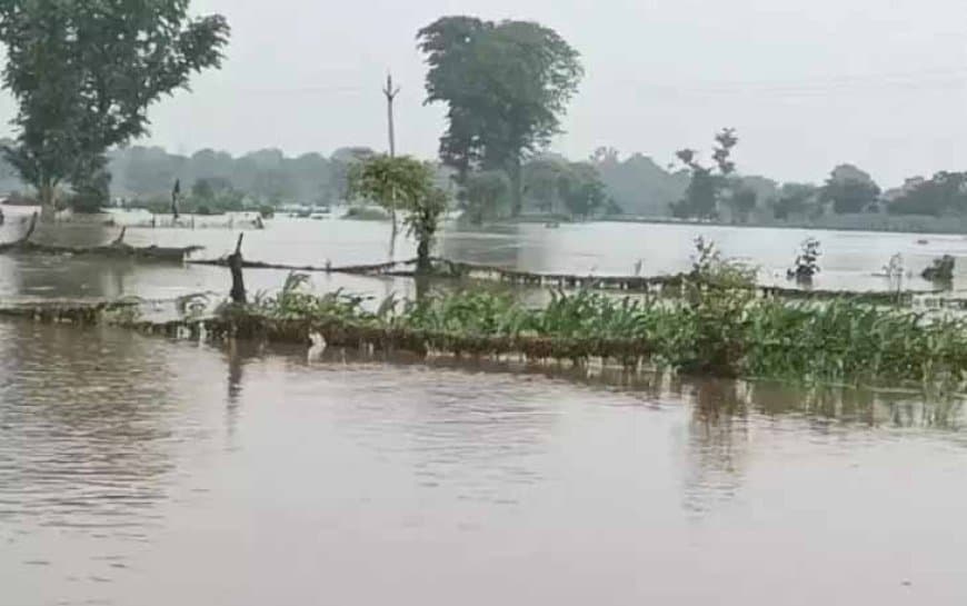 एमपी के शिवपुरी में उफान पर नदियां, गांवों में घुसा पानी... देश के कई राज्यों में भी आफत की बारिश एमपी के शिवपुरी में उफान पर नदियां, गांवों में घुसा पानी... देश के कई राज्यों में भी आफत की बारिश