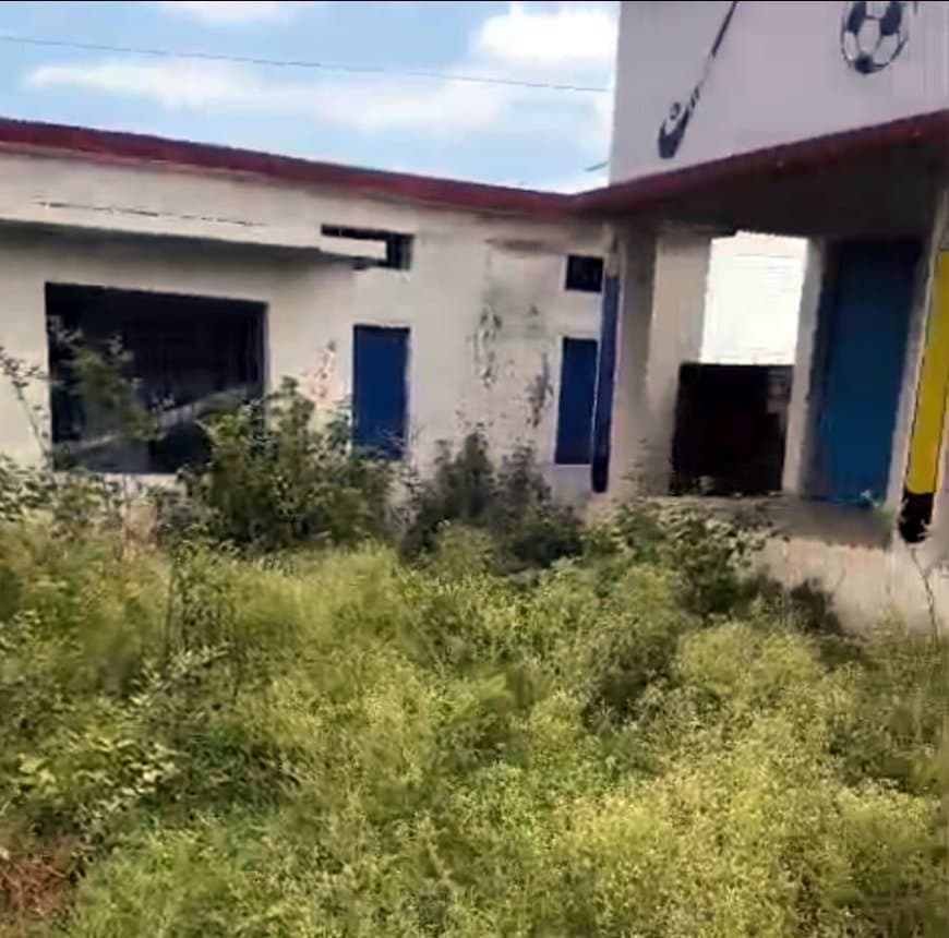 बाल वाटिका में जहरीली गाजर घास के बीच मासूम, पीएम श्री स्कूल की व्यवस्थाओं पर उठे सवाल बाल वाटिका में जहरीली गाजर घास के बीच मासूम, पीएम श्री स्कूल की व्यवस्थाओं पर उठे सवाल